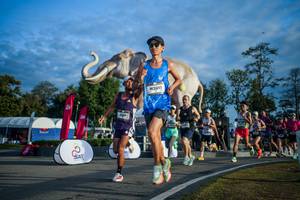 BIB: 
                            <button type="button" onclick="openModal(26541509)" class="btn btn-primary btn-sm float-right btn-popup" data-toggle="modal" data-target=".modal-high-quality">
                        <i class="fas fa-shopping-cart"></i> Add to Cart
                    </button>
                                            <button type="button" onclick="isThisMe(26541509, true)" class="btn btn-success btn-sm float-right btn-popup btn-isme hidden" data-toggle="tooltip" data-placement="bottom" title="นี่คือรูปของคุณใช่ไหม คลิกที่นี่เพื่อเอาเข้าอัลบั้ม">
                        <i class="fas fa-plus"></i> Add to album
                    </button>
                    <button type="button" onclick="isThisMe(26541509, false)" class="btn btn-warning btn-sm float-right btn-popup btn-isnotme hidden">
                        <i class="fas fa-ban"></i> Remove from album
                    </button>